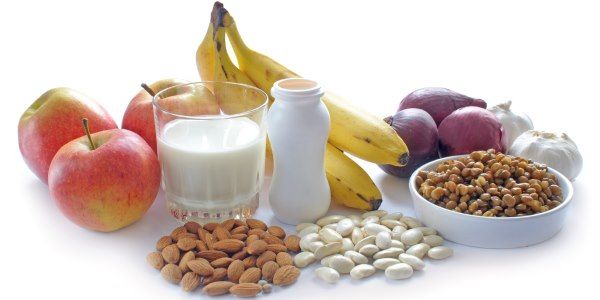 differenza-probiotici-prebiotici
