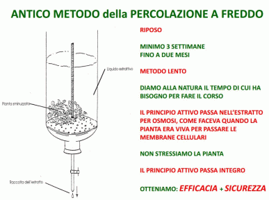 gif-percolazione