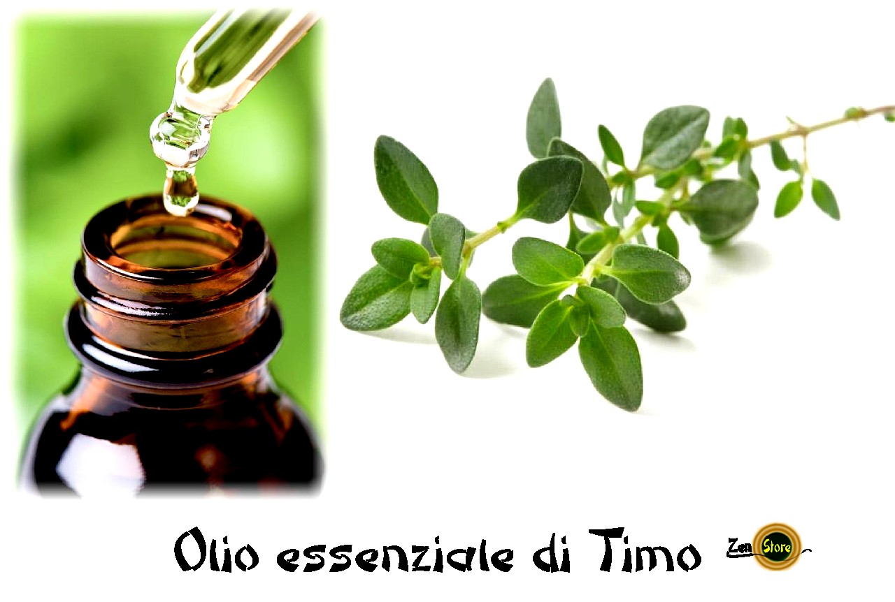 249-10-16-33-timoolio