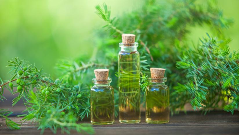 tea-tree-oil-preview-default